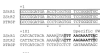 thumbnail image from paper