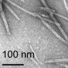 thumbnail image from paper