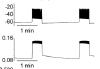thumbnail image from paper