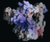thumbnail image from paper