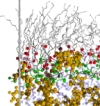 thumbnail image from paper