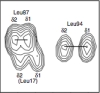 thumbnail image from paper