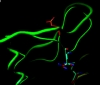 thumbnail image from paper