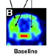 thumbnail image from paper
