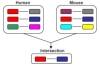 thumbnail image from paper