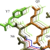thumbnail image from paper