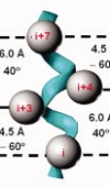 thumbnail image from paper