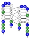 thumbnail image from paper