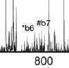 thumbnail image from paper