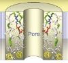 thumbnail image from paper