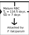 thumbnail image from paper