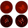 thumbnail image from paper