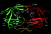 thumbnail image from paper
