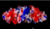 thumbnail image from paper