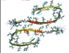 thumbnail image from paper
