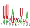 thumbnail image from paper