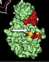 thumbnail image from paper