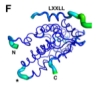 thumbnail image from paper
