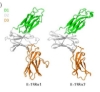 thumbnail image from paper