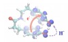 thumbnail image from paper