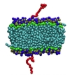 thumbnail image from paper