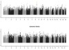 thumbnail image from paper