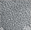 thumbnail image from paper