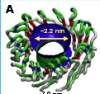 thumbnail image from paper