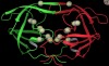 thumbnail image from paper