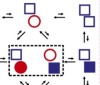 thumbnail image from paper