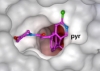 thumbnail image from paper