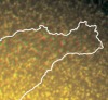 thumbnail image from paper