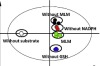 thumbnail image from paper