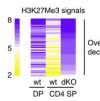 thumbnail image from paper