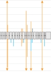 thumbnail image from paper