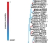 thumbnail image from paper