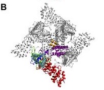 thumbnail image from paper