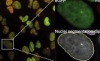 thumbnail image from paper
