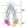 thumbnail image from paper