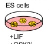 thumbnail image from paper
