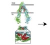thumbnail image from paper