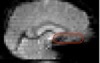 thumbnail image from paper