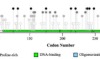 thumbnail image from paper