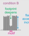 thumbnail image from paper