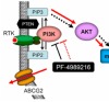 thumbnail image from paper