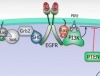 thumbnail image from paper