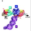 thumbnail image from paper