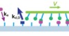 thumbnail image from paper