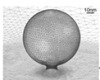 thumbnail image from paper