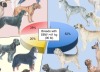 thumbnail image from paper